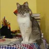 Отзыв от Алиса Болдырева
